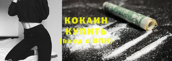 мет Бородино
