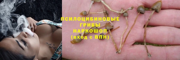 мет Бородино