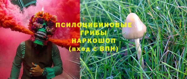 ПСИЛОЦИБИНОВЫЕ ГРИБЫ Беломорск