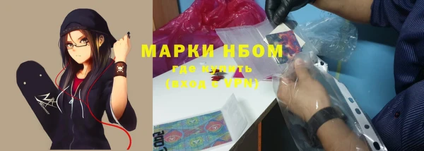 мет Бородино