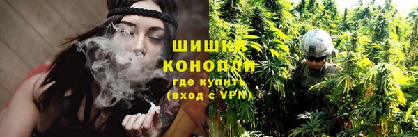 мет Бородино