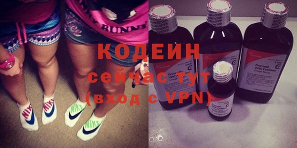 спиды Богородицк