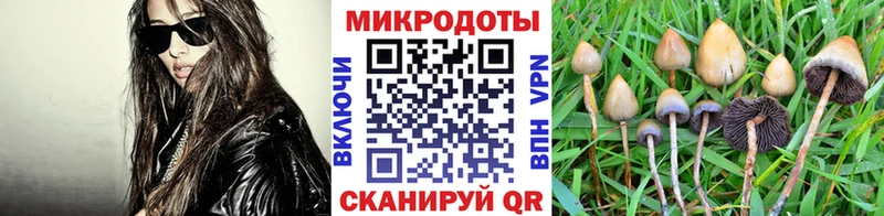 площадка как зайти  OMG tor  Гай  Галлюциногенные грибы прущие грибы 