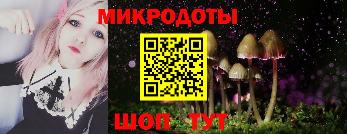 Псилоцибиновые грибы GOLDEN TEACHER  где купить наркоту  Гай  Вход с VPN 